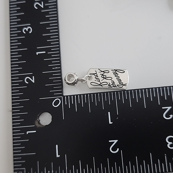 JOY for the journey Charm Will FIT Pandora and other European Systems - Picture 2 of 4